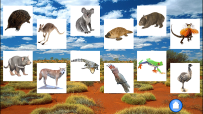 Screenshot #2 pour Les Animaux D'Australie