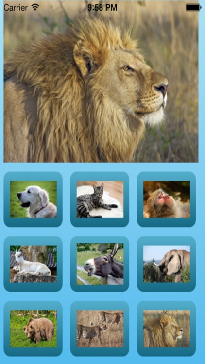 Animal sound effects (mammals crying)