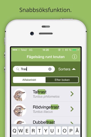 Fågelsång runt knuten screenshot 3