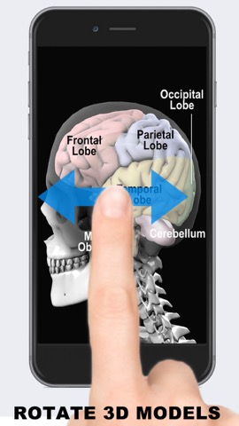 Anatomy 3D - Organsのおすすめ画像4