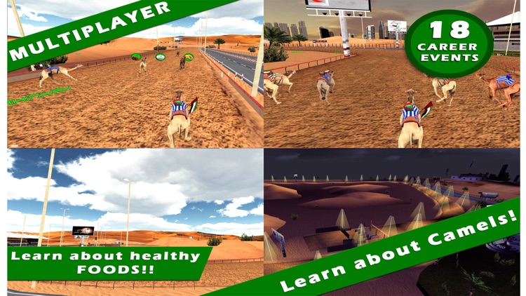3D سباق الهجن - UAE Camel Racing