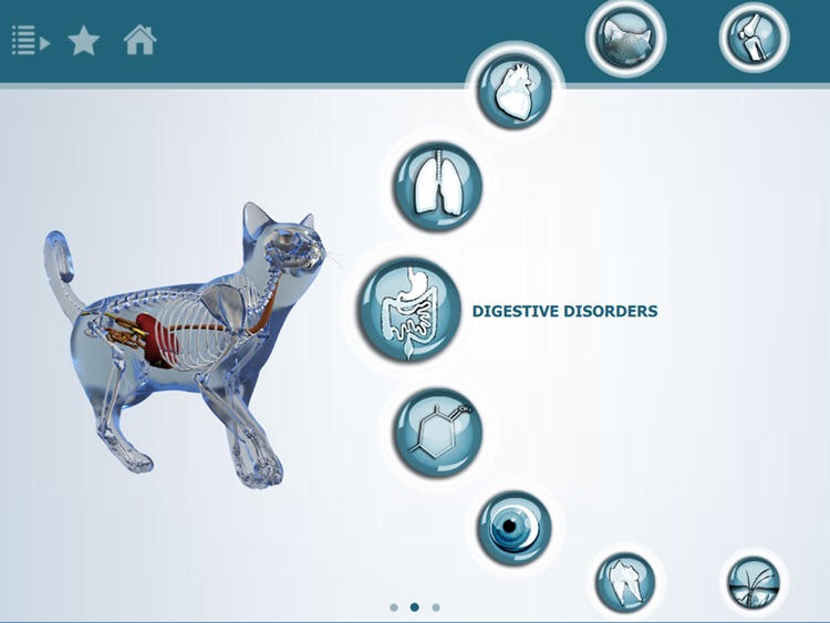 IDEXX Pet Health Network® 3D