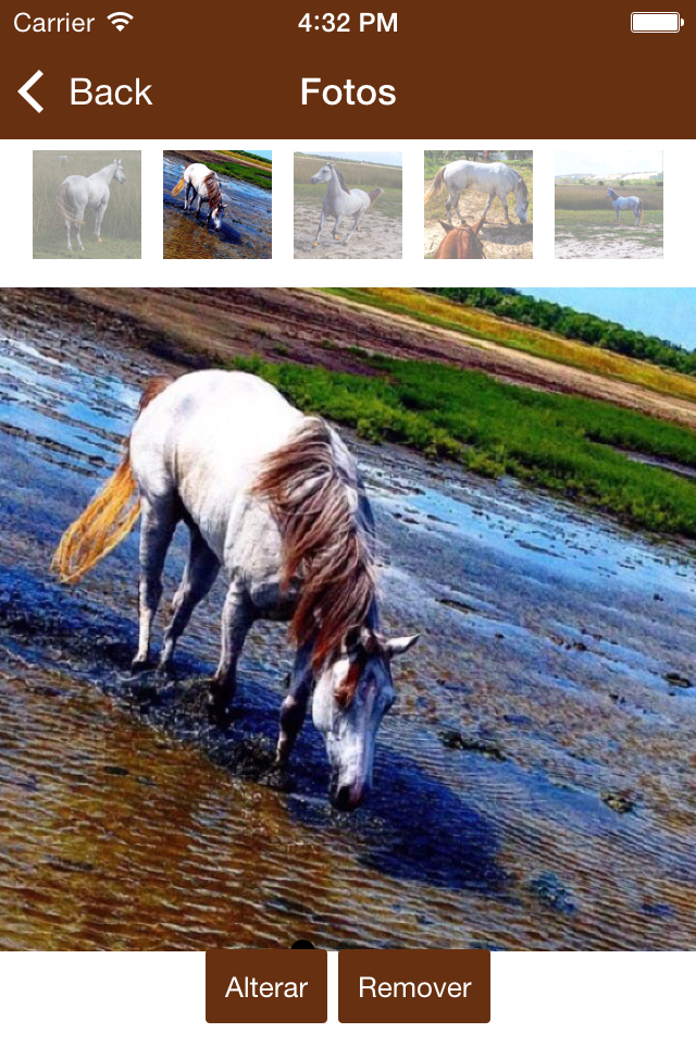 Meu Cavalo App
