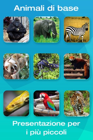 Safari and Jungle Animal Picture Flashcards for Babies, Toddlers or Preschool screenshot 2