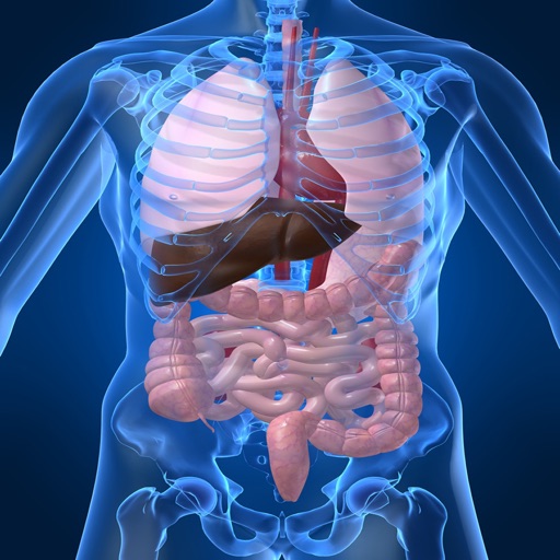 Human Biology : Digestive System Quiz Icon