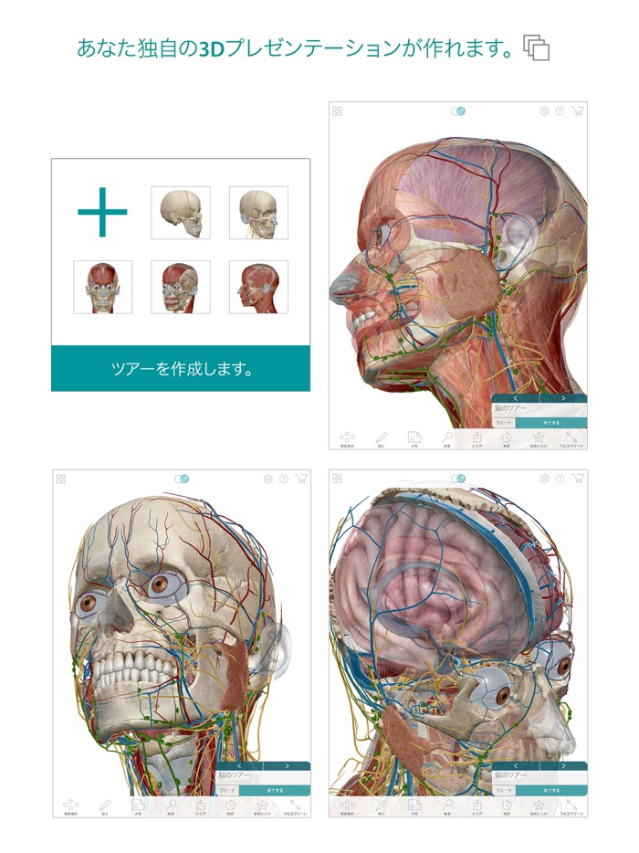ヒューマン・アナトミー・アトラス