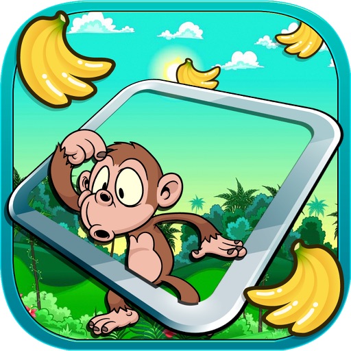 Box Monkey: Fruit Jungle Quest icon