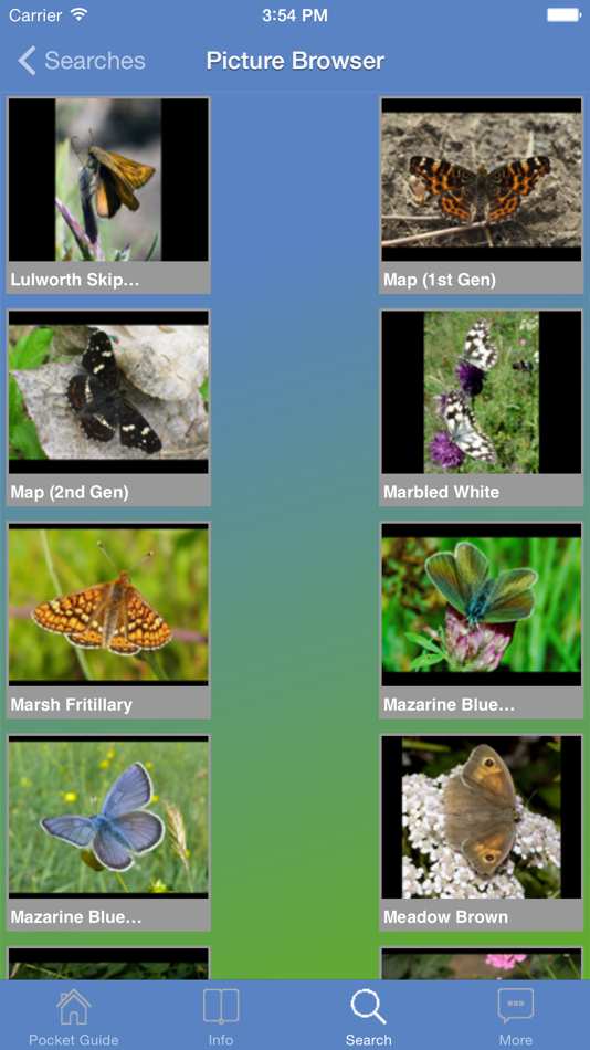 Pocket Guide UK Butterflies - 2.4.2 - (iOS)