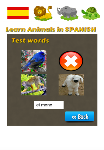 Learn Animals in Spanish Language screenshot 2