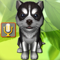 Talking Puppies virtual pets to care your virtual pet doggie to take care and play