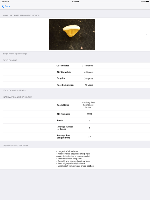 Screenshot #5 pour Tooth Morphology - Your Quick Reference Guide