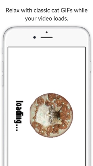 Cat Shake(圖2)-速報App