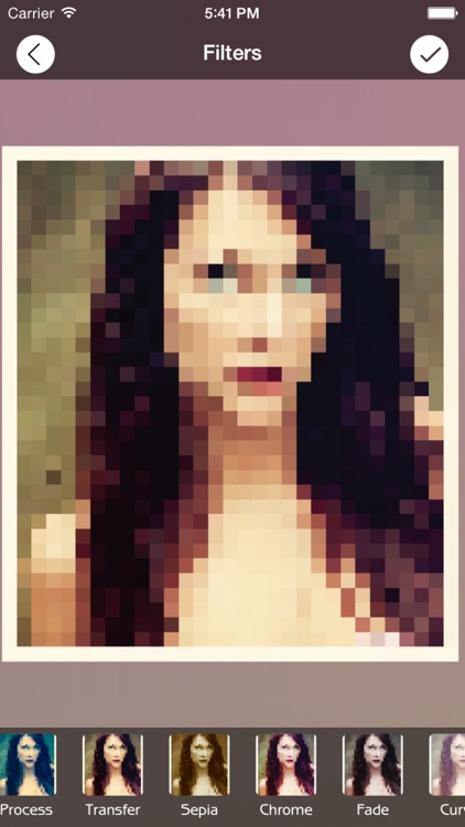 Photo Pixelate screenshot-4