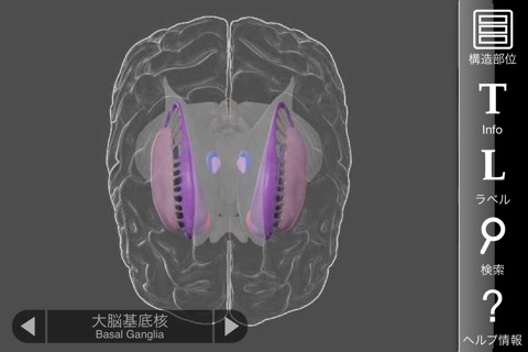 3D Brainのおすすめ画像2
