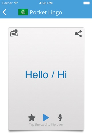 Arabic Pocket Lingo - for trips to Dubai, Egypt, Algeria, Saudi Arabia, Morroco, UAE, & more screenshot 2