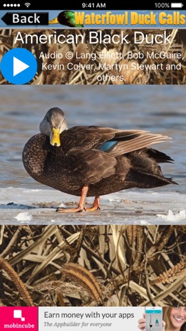 Waterfowl Duck Callsのおすすめ画像2