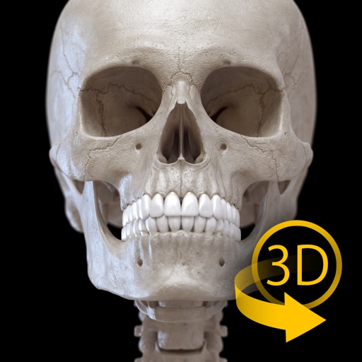 Skeletal System - 3D Atlas of Anatomy - Bones of the human skeleton icon