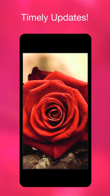 Pop Wallpapers & Backgrounds screenshot-3