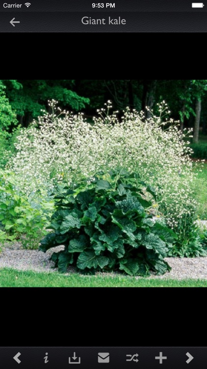 Plant Encyclopedia Pro