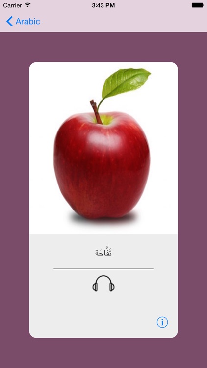 Learning Arabic 400 Basic Words