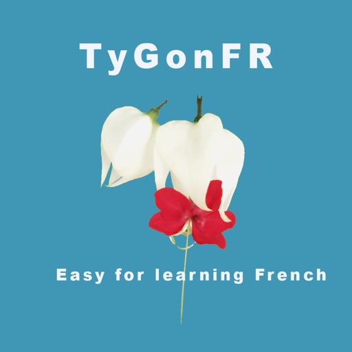 TyGonFR - French Listen Practice Free