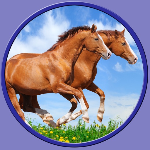 my favorite horses - free game for kids icon