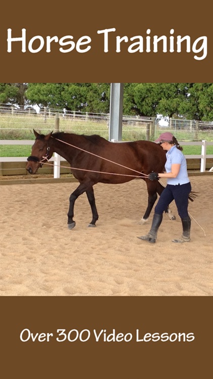 Horse Training