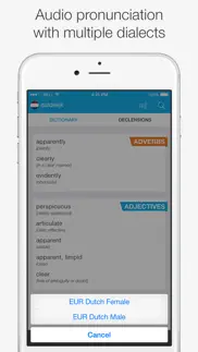 translations: dutch - english айфон картинки 3