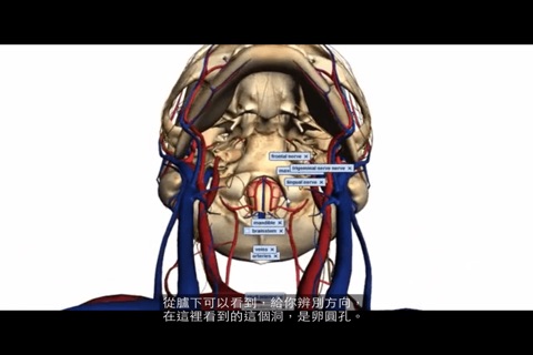 解剖學院 screenshot 4