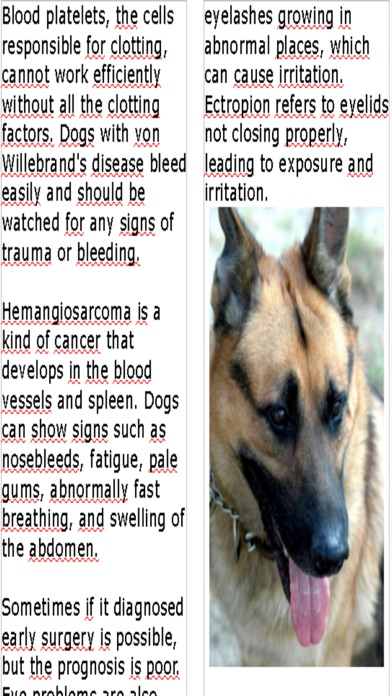 Shepherd's:German Shepherd Magazine Screenshot