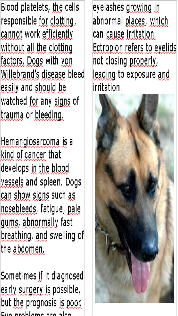 ShepherdsGerman Shepherd Magazine
