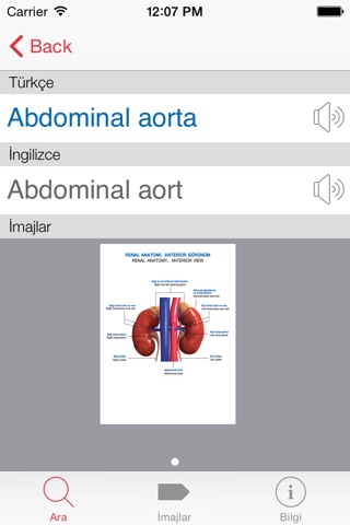 Recordati Üroloji Sesli Sözlük screenshot 4