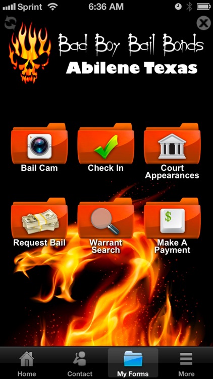 Bad Boy Bail screenshot-3