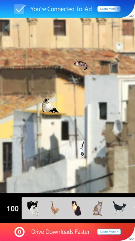 Find 101 Cats