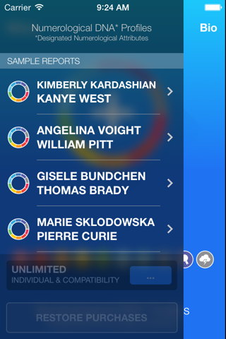 Numerological DNA* Profiles screenshot 2