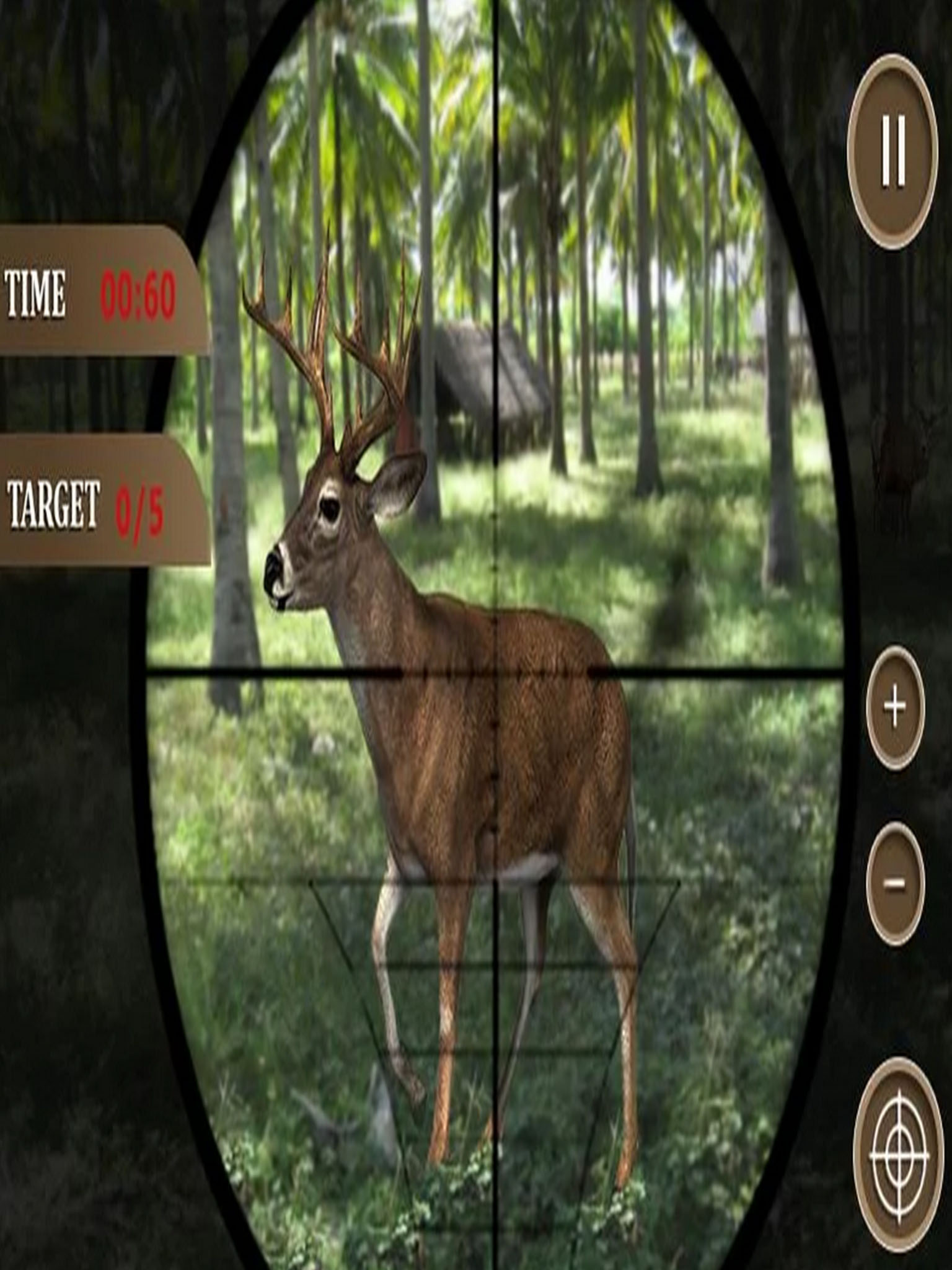 Hunting jungle animals 2