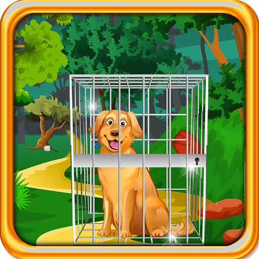 Golden Retriever Dog Escape iOS App