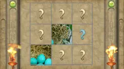 FlipPix Jigsaw - Nesting screenshot 2