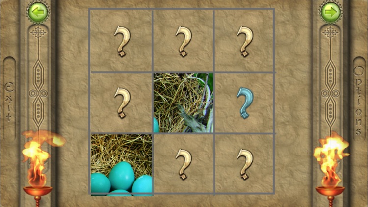 FlipPix Jigsaw - Nesting