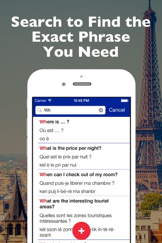 SmallTalk - French Phrasebook screenshot 3