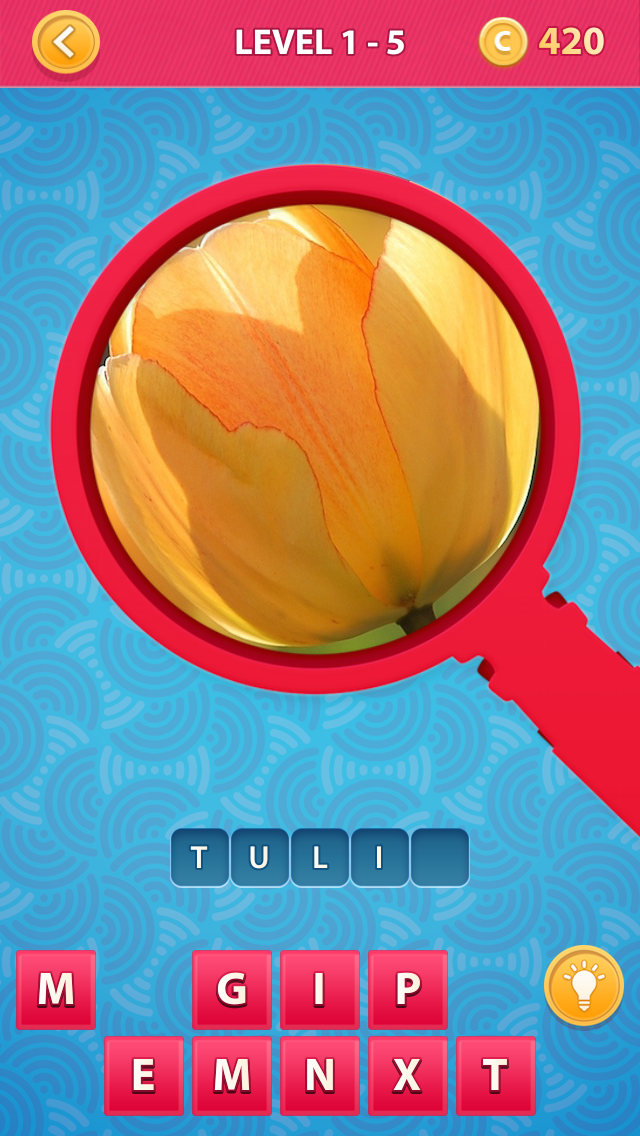 Zoom Pics - close up zoomed images and guess words trivia quiz game screenshot 3