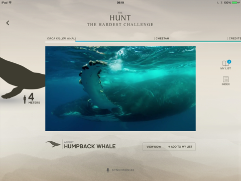 Screenshot #5 pour The Hunt - BBC Earth - Natural History Interactive TV Series