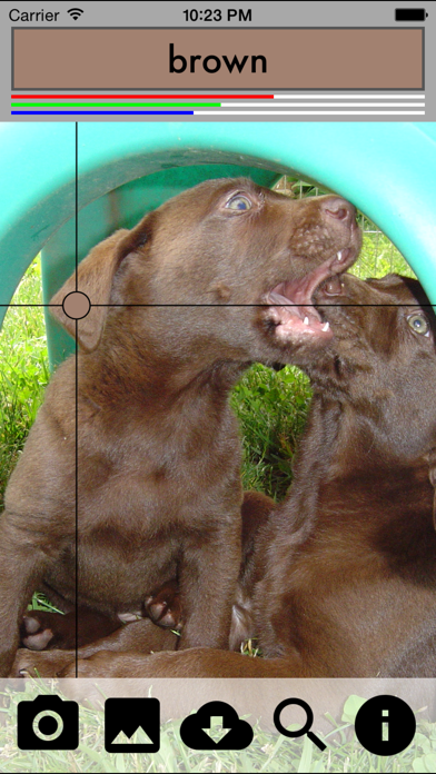 Screenshot #1 pour Color Identify