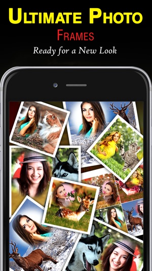 Wildlife Photo Frames Unlimited(圖3)-速報App