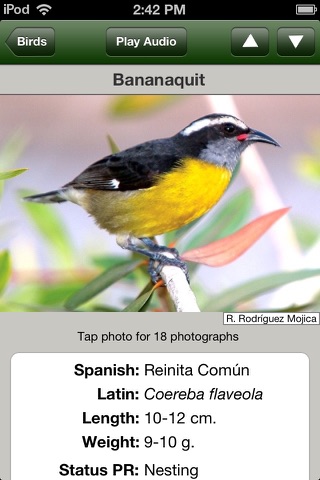 Puerto Rico and Virgin Islands Birds screenshot 2