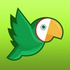 Parrot Adventure - Fly the bird safely through the cave!