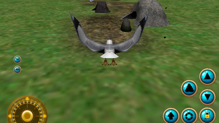 Seagull Bird Simulator