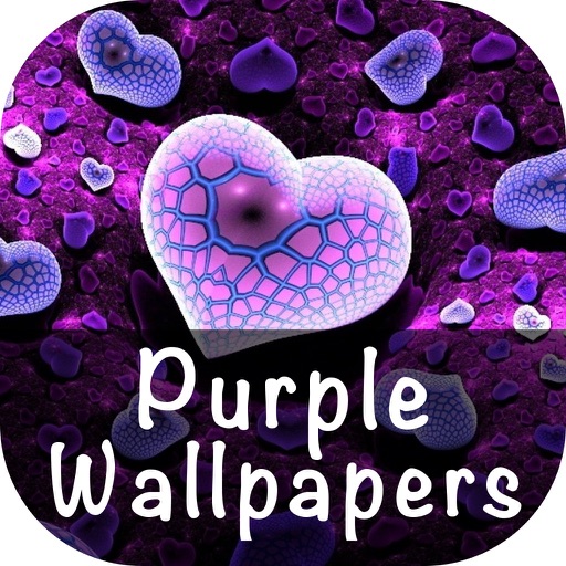 Purple Wallpaper