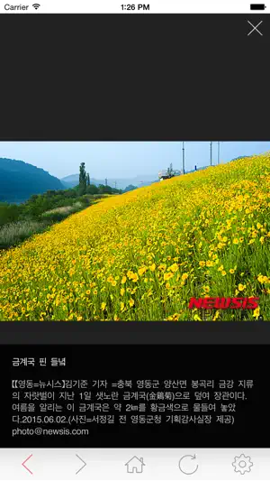 뉴시스 screenshot 3