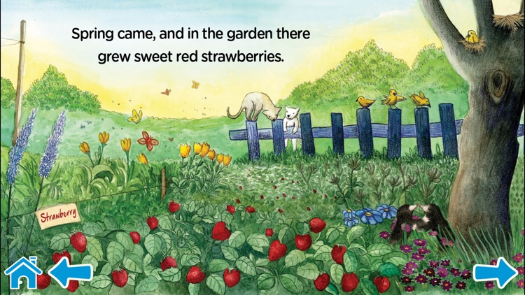 The Strawberry Garden